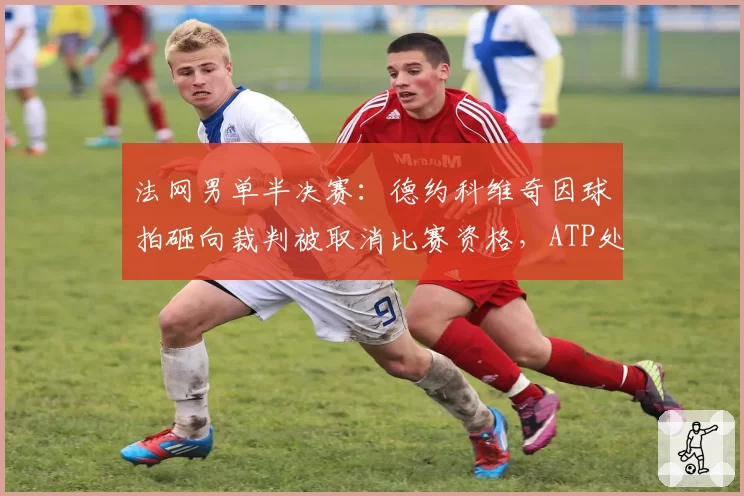 法网男单半决赛：德约科维奇因球拍砸向裁判被取消比赛资格，ATP处罚是否过重？