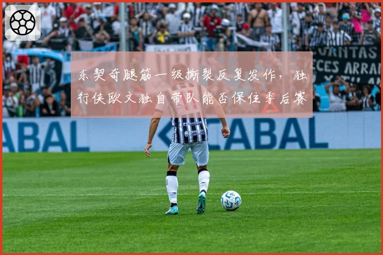东契奇腿筋一级撕裂反复发作，独行侠欧文独自带队能否保住季后赛席位？