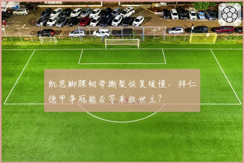 凯恩脚踝韧带撕裂恢复缓慢，拜仁德甲争冠能否等来救世主？